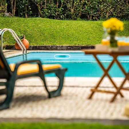 Casa Do Pinheiro With Shared Swimming Pool Villa São Vicente Ferreira Buitenkant foto