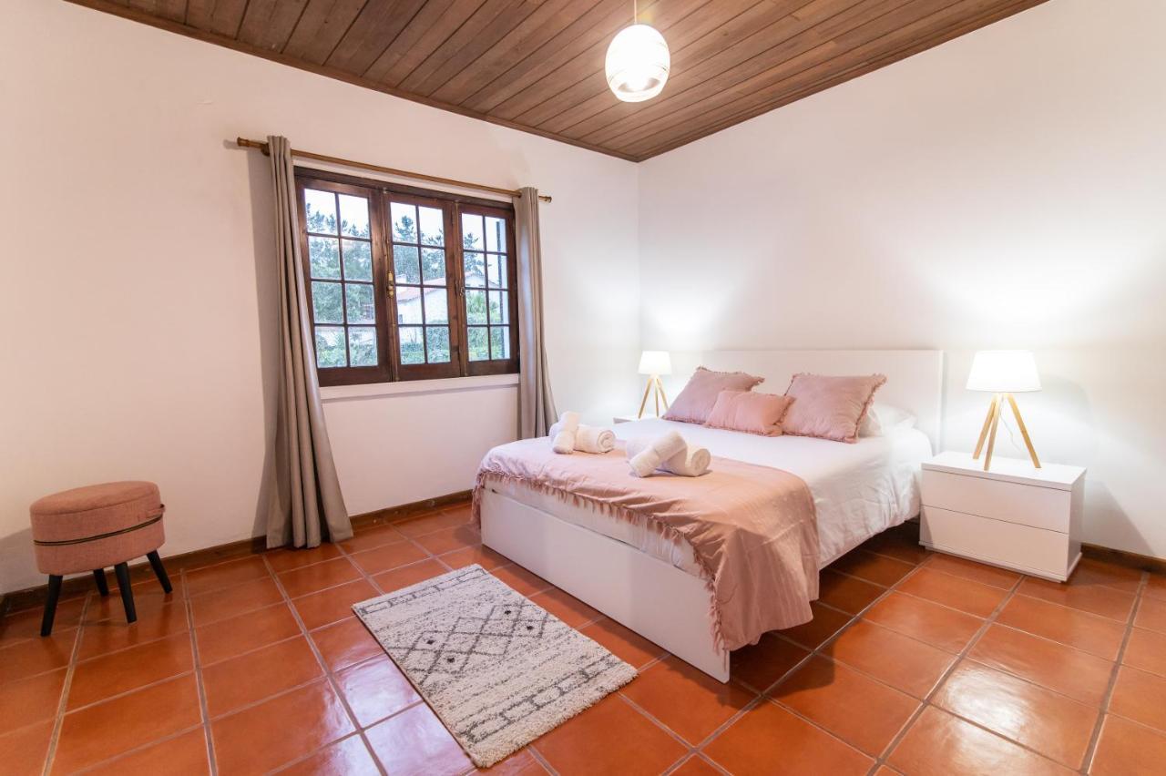Casa Do Pinheiro With Shared Swimming Pool Villa São Vicente Ferreira Buitenkant foto