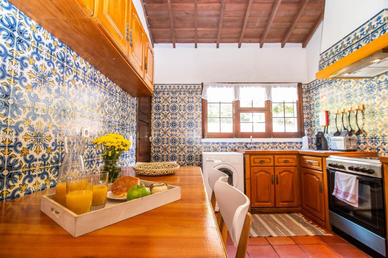Casa Do Pinheiro With Shared Swimming Pool Villa São Vicente Ferreira Buitenkant foto