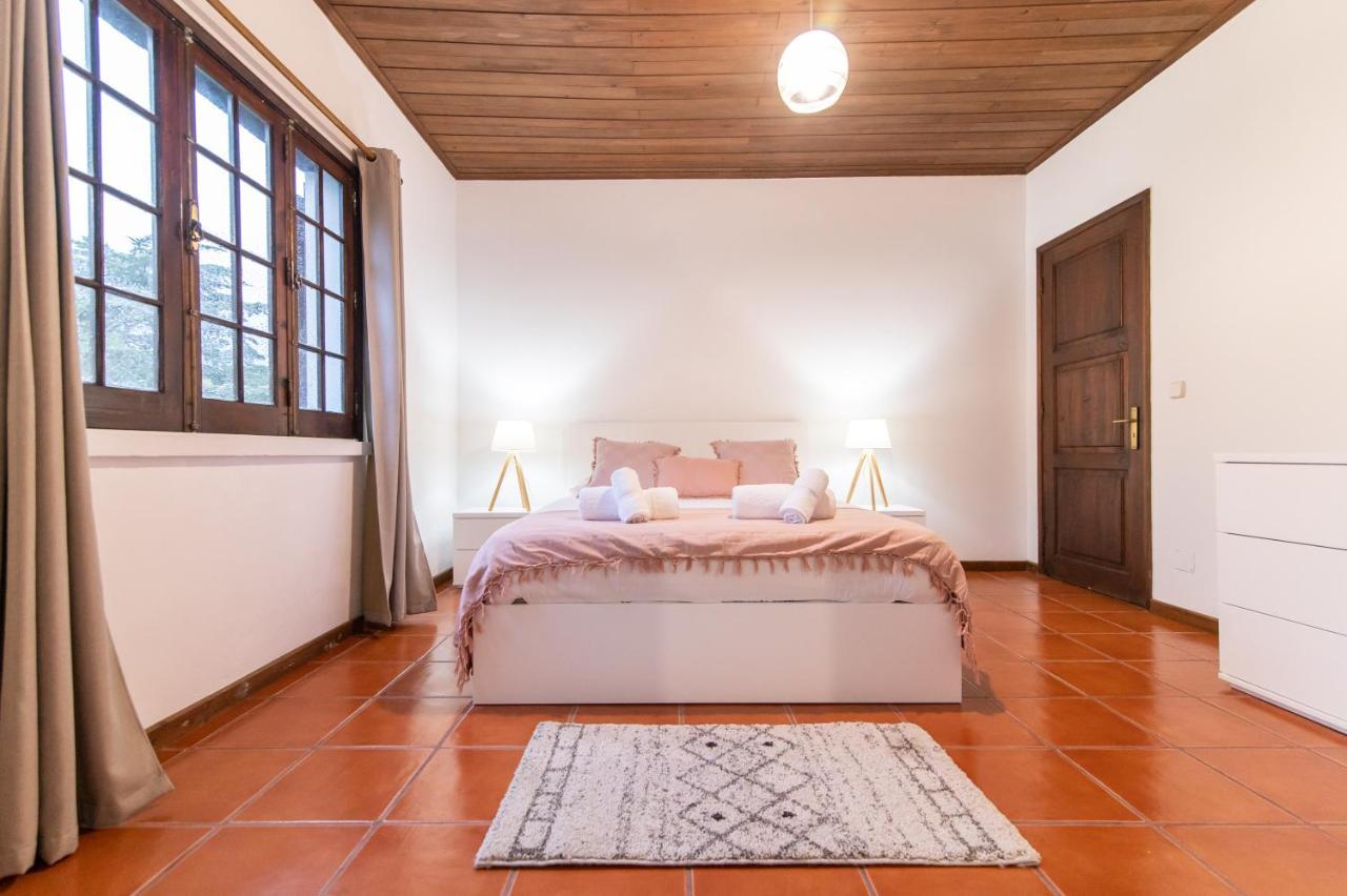Casa Do Pinheiro With Shared Swimming Pool Villa São Vicente Ferreira Buitenkant foto